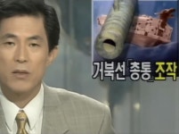 대국민 사기극이었던 거북선 총통사건 | 보배드림 신유머/이슈/움짤