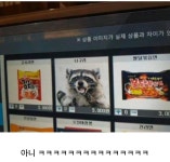 너구리 | 보배드림 신유머/이슈/움짤