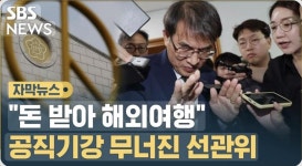 양파껍질 벋겨진 선관위 | 보배드림 신유머/이슈/움짤