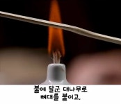 이순신 장군의 승리를 이끈 바다위의 전술신호연 | 보배드림 신유머/이슈/움짤
