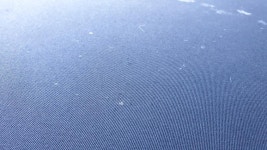 공업사 맡긴 차지붕에서 괭이 들이 파티했는데.. | 보배드림 수입차게시판