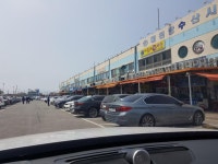 대천 수산시장 와봄 | 보배드림 수입차게시판