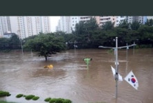 온천천● | 보배드림 수입차게시판