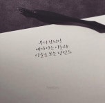 국제구호기구비엠더블유5000 | 엉아들 비엠따블유 | 보배드림 수입차게시판