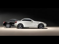 Mercedes-Benz SLK 2LOOK Edition | 보배드림 수입차게시판