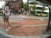 뚜렷한 캐릭 야동왕김탁탁님 | 보배드림 교통사고/블박