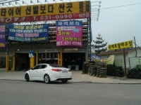 [ㅃㄱ] 아리까리 까리한 같은업종 매장의 견제 | 보배드림 교통사고/블박