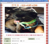 블랙박스 영상 번호판 판독이나 당시 다른차량분 블랙박스구합니 | 보배드림 교통사고/블박