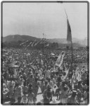 8.15 | 보배드림 군사/무기