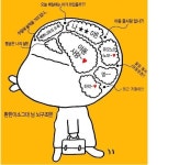 식사는 하셨습니까 ?? | 보배드림 시승기/배틀/목격담