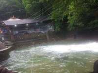 생존확인 | 보배드림 시승기/배틀/목격담