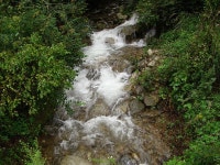 야외 숯불고기~~ | 보배드림 시승기/배틀/목격담