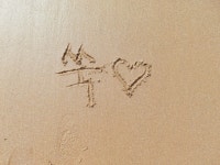 주말 당일치기 태안여행 다녀왔습니당 | 보배드림 시승기/배틀/목격담