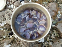 주말 당일치기 태안여행 다녀왔습니당 | 보배드림 시승기/배틀/목격담