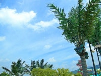 (강스압/사진펑) 2박 3일간의 경주 여행기&#65279; ♥ | 보배드림 시승기/배틀/목격담 (강스압/사진펑) 2박 3일간의 경주 여행기﻿ ♥ | 보배드림... 