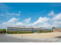 오늘 대전 옆동네 날씨는 너무 좋았네욥 | 보배드림 시승기/배틀/목격담