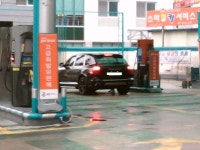 보배는 대전분들 안계신가요? | 보배드림 직찍/특종발견