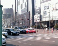 ★★ 압구정 도산대로 마지막으로 ~ | 보배드림 직찍/특종발견