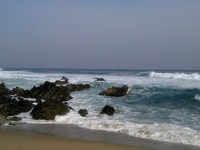 주말 동해바다 다녀온 사진 올려봅니다 + 행담도 머스탱 +.+ | 보배드림 직찍/특종발견