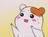 일산피자 알볼로 야식배달 시켜먹기 | 보배드림 여행/맛집/요리