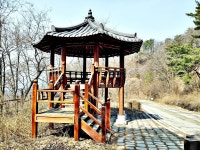 오늘 가평 상지로 드라이브를 했습니다.(+ 대성리역 건너편) | 보배드림 자유게시판