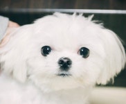멍.. | 보배드림 자유게시판