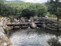 이 계곡 어딘지 아시는 분 계신 가요? | 보배드림 자유게시판