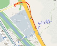 시내 버스전용차로 잘 아시는분 계실까요? | 보배드림 자유게시판
