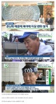 복어에 대해 아시는 분??? | 보배드림 자유게시판