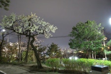 북악스카이......... | 보배드림 국산차게시판