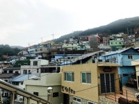 (정성글) 허접한 부산 여행기 | 보배드림 국산차게시판