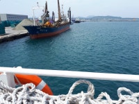 수리좀 많이 오르네ㅐ요... | 보배드림 국산차게시판