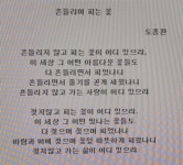 흔들리며 피는 꽃 | 보배드림 국산차게시판