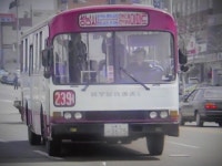 239-1번 버스 | 보배드림 국산차게시판