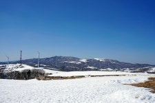 대관령 삼양목장 다녀왔습니다! (사진 많음 주의) | 보배드림 국산차게시판