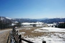 대관령 삼양목장 다녀왔습니다! (사진 많음 주의) | 보배드림 국산차게시판