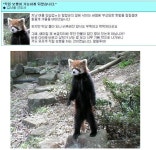 ★★무안단물 보충분~ ★★ | 보배드림 정치게시판