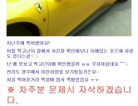 쩌는 피해의식 | 보배드림 정치게시판