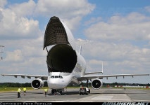 귀요미 벨루가~ A300-600ST | 보배드림 항공/해운/철도