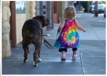 ## 마음으로 보는 사진들 3(동물 ..그리고)## | 보배드림 베스트글