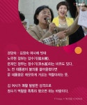 유쾌한 정숙씨의 2주일 | 보배드림 정치게시판