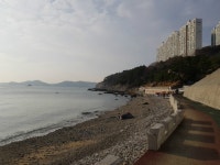 주말인데 다들 뭐하세요? | 보배드림 유머게시판