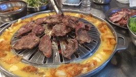 묻겠습니다! 회원님들!! | 보배드림 유머게시판