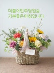 아침에 받은 아버지의 카톡 | 보배드림 베스트글
