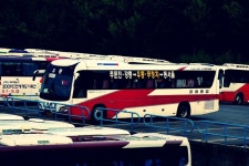 여러 시외버스 | 보배드림 트럭/버스/중기
