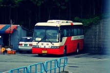 여러 시외버스 | 보배드림 트럭/버스/중기