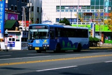 포항 시내버스 | 보배드림 트럭/버스/중기