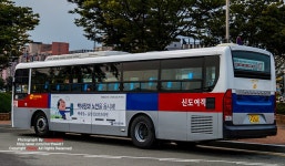 [울산] 1137번 신도여객 [뉴 슈퍼 에어로시티] | 보배드림 트럭/버스/중기