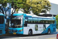 2016.06.16 - 제주도의 버스들 | 보배드림 베스트글