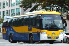 2017.10 - 서울남부터미널의 시외버스들 (90pic) | 보배드림 트럭/버스/중기